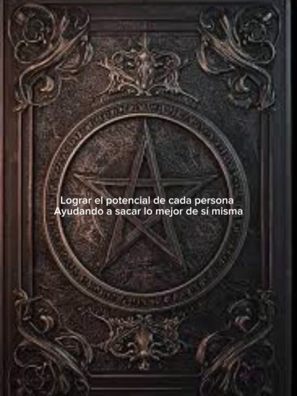 WhatsApp Image 2026-03-27 at 15.46.05